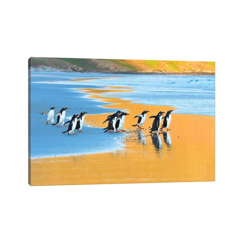 Early Birds - Gentoo Penguins Going Fishing by Elmar Weiss - Wrapped Canvas Painting, 101.6 cm H x 66.04 cm W x 3.175 cm D