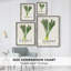 Reproduction encadrée Organic Veg II - bois massif-306243760