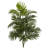 Areca Palm Artificial Plant