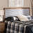 Joran Upholstered Headboard-1298054781-1298054782