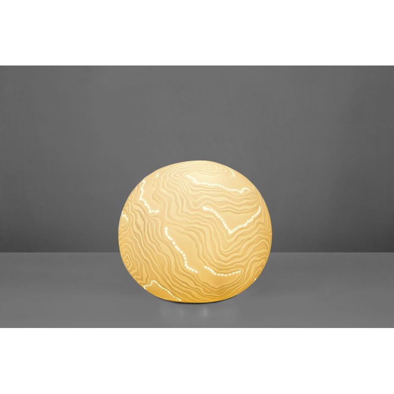 Baryn Novelty Lamp