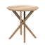 Mikado Solid Wood End Table