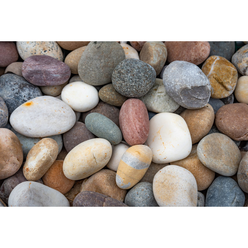 Alcone Stone Plants & Flowers Garden Stone