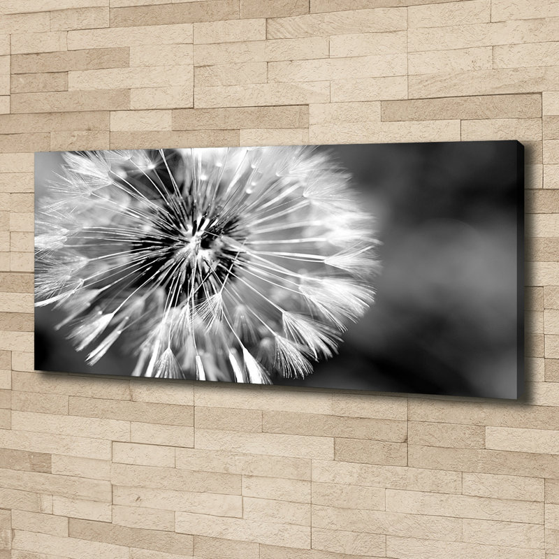 Dandelions - Wrapped Canvas Print