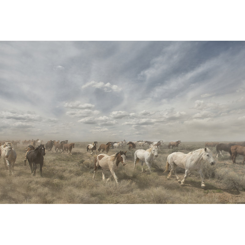 " Big Sky " Painting Print, 24" H x 36" W x 1.25" D