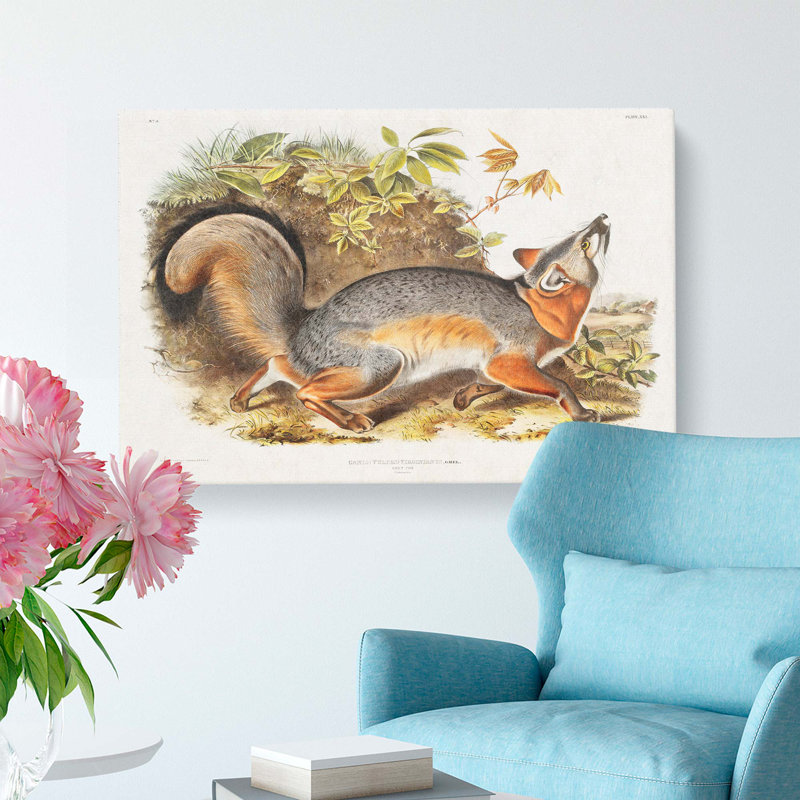 Grey Fox by J.W. Audubon - Wrapped Canvas Painting, 40cm H x 60cm W x 3cm D