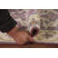 Tapis indien mauve Oushak 3 x 10
