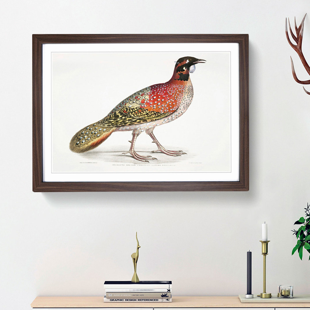 Pennant's Horned Pheasant by John Edward Gray - Picture Frame Painting Print