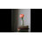 Peony Arrangement-1795983020