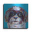 «Shih Tzu On Blue» par Carolee Vitaletti-671851167