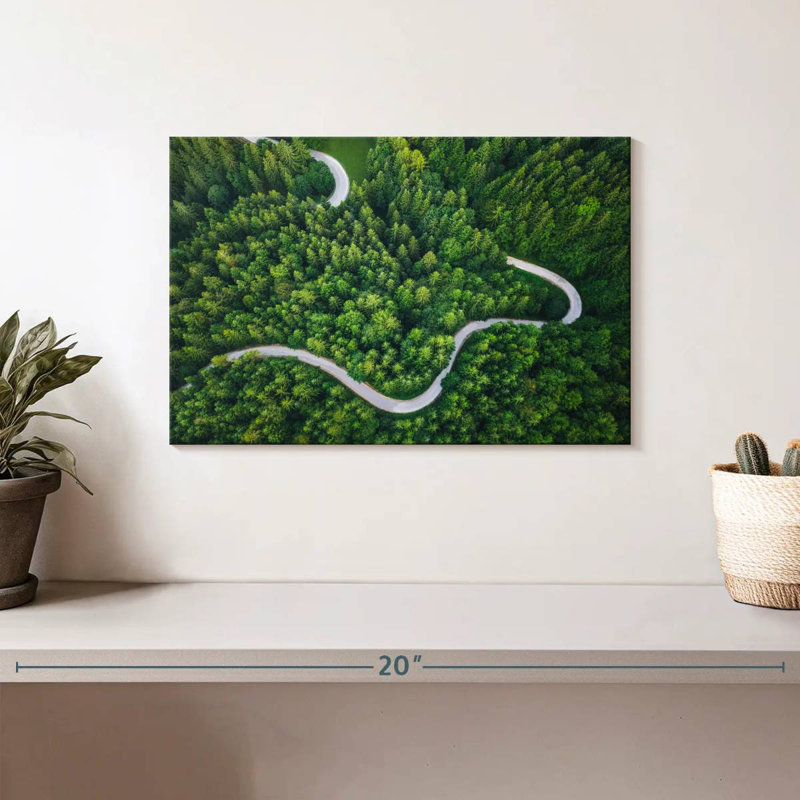 Alvord Winding Pine Forest Road, H 8 po x l 12 po