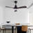 Jhamarion 42" Modern LED Ceiling Fan Chandelier with Remote-1331740346