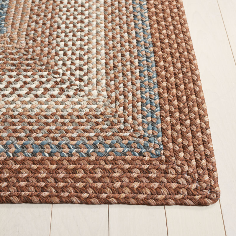Liptak Braided Hand Woven Performance Machine Washable Geometric Indoor/Outdoor Area Rug, Rectangle 2' x 3'