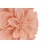 Floral Throw Pillow-1326442702-1326442698