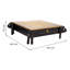 Ashyah Solid Wood Figurine Coffee Table with Storage