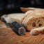 Multi Casa Mex 20cm Serrated Bread Knife