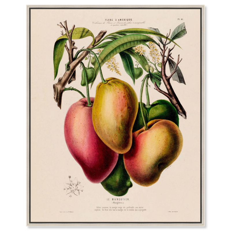 «Mangoes» par Étienne Denisse, toile par Art Remedy, Noir, H 21 po x l 17 po, Cadre flottant
