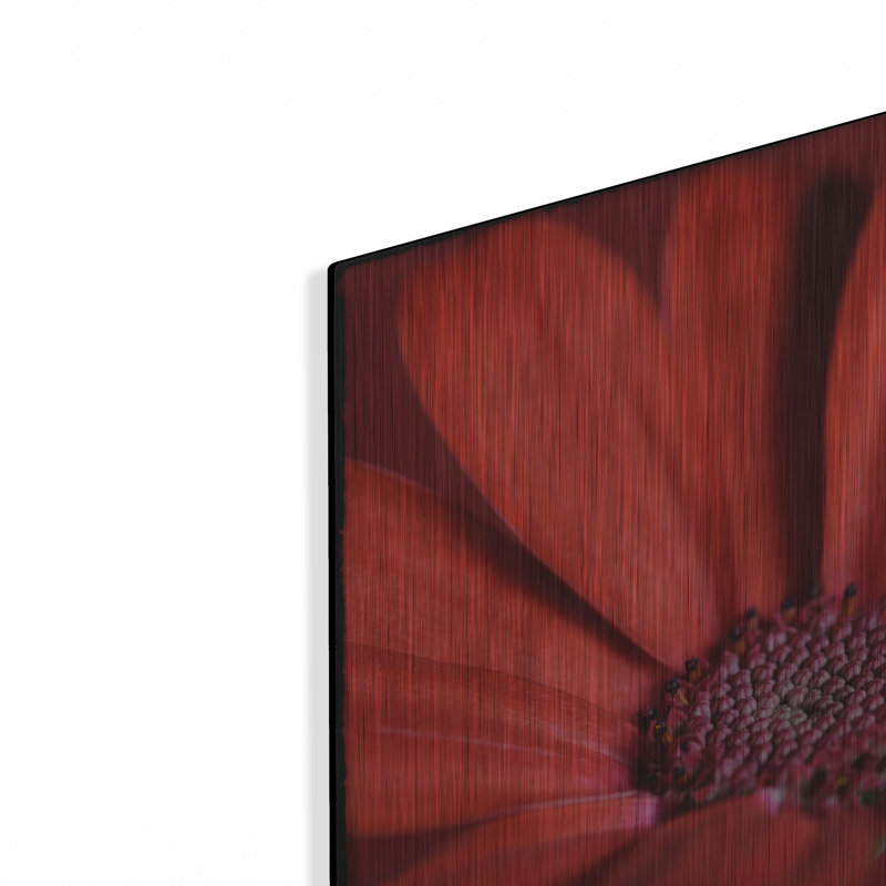 «Red Gerbera On Red 06» par Tom Quartermaine, H 12 po x l 12 po