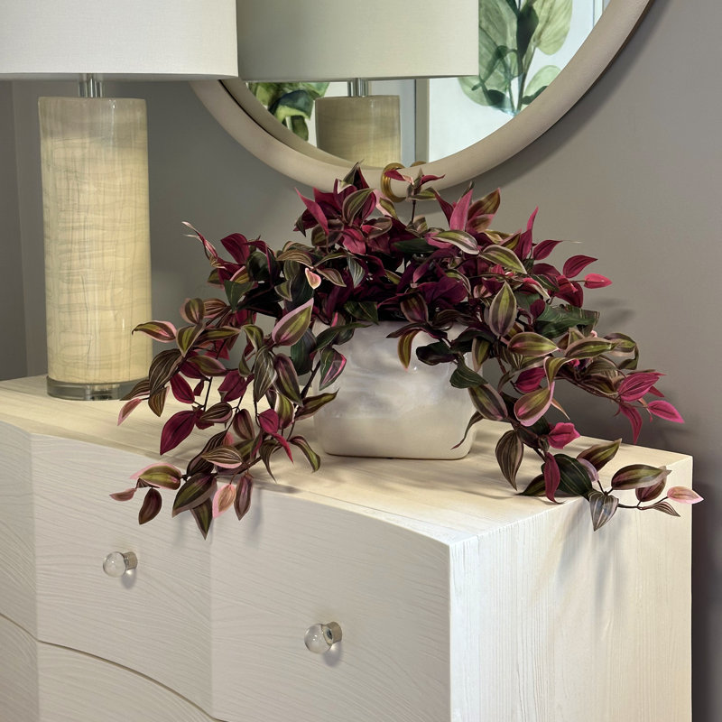 Tradescantia Zebrina Arranged In Ceramic Vase, Green/Red, 14"H x 26"W x 17"D