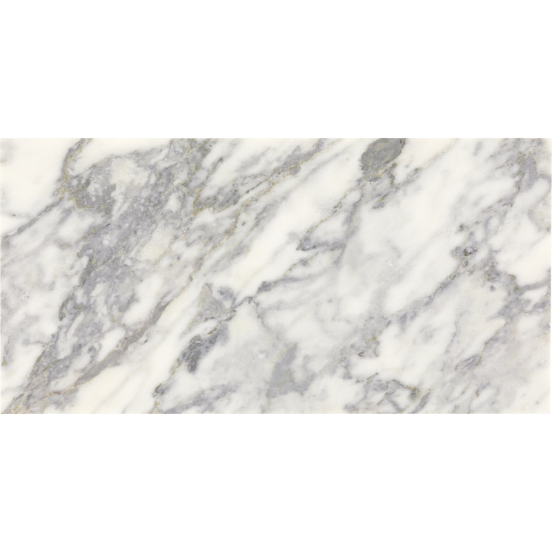 Daltile Eclessia Marble Natural Stone 12 x 24 Wall and Floor Tile Polished (5 PCS Per Carton) (10.00 SQFT Per Carton)