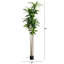 96'' Faux Dracaena Tree in Pot Liner