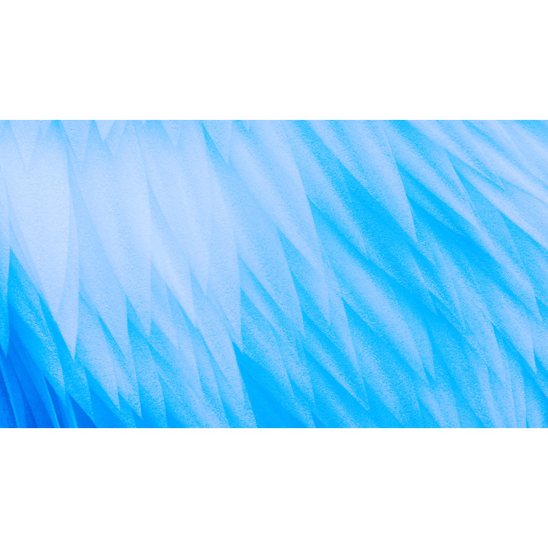 Murale Yanis Blue Angel Wings, L 108 po x l 48 po