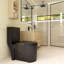 Toilette monobloc siphonique DAX avec siphon 300 mm, noir mat