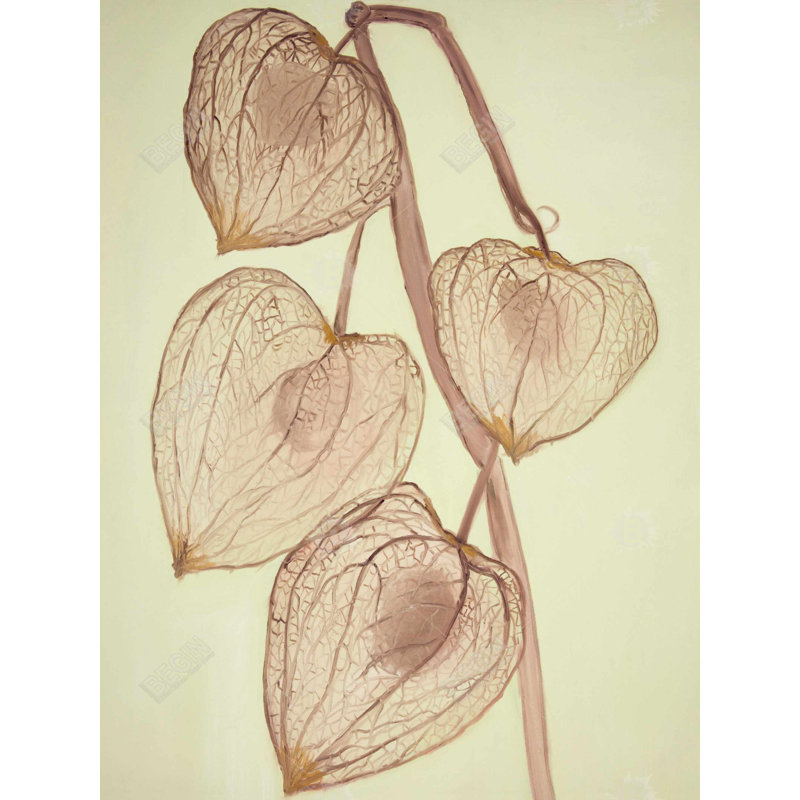 Growing Ground Cherries - Botanical Canvas for Home Decor