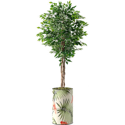 Faux Ficus Plant in Plastic Planter
