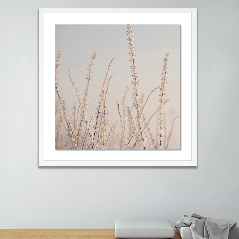 Hoar Frost White Print by Pernille Westh, White, 24" H x 24" W x 1.5" D