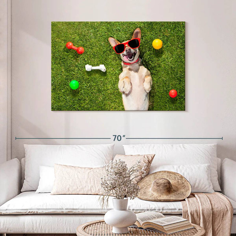 Ketti terrier chihuahua amusant, H 30 po x l 45 po