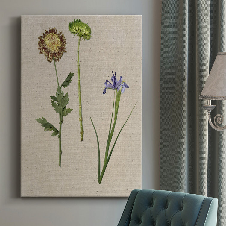 Pretty Pressed Flowers III Premium Framed Canvas - Ready to Hang Red Barrel Studio Size: 27 H x 18 W