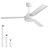 Forgan 52'' Ceiling Fan-2072586052