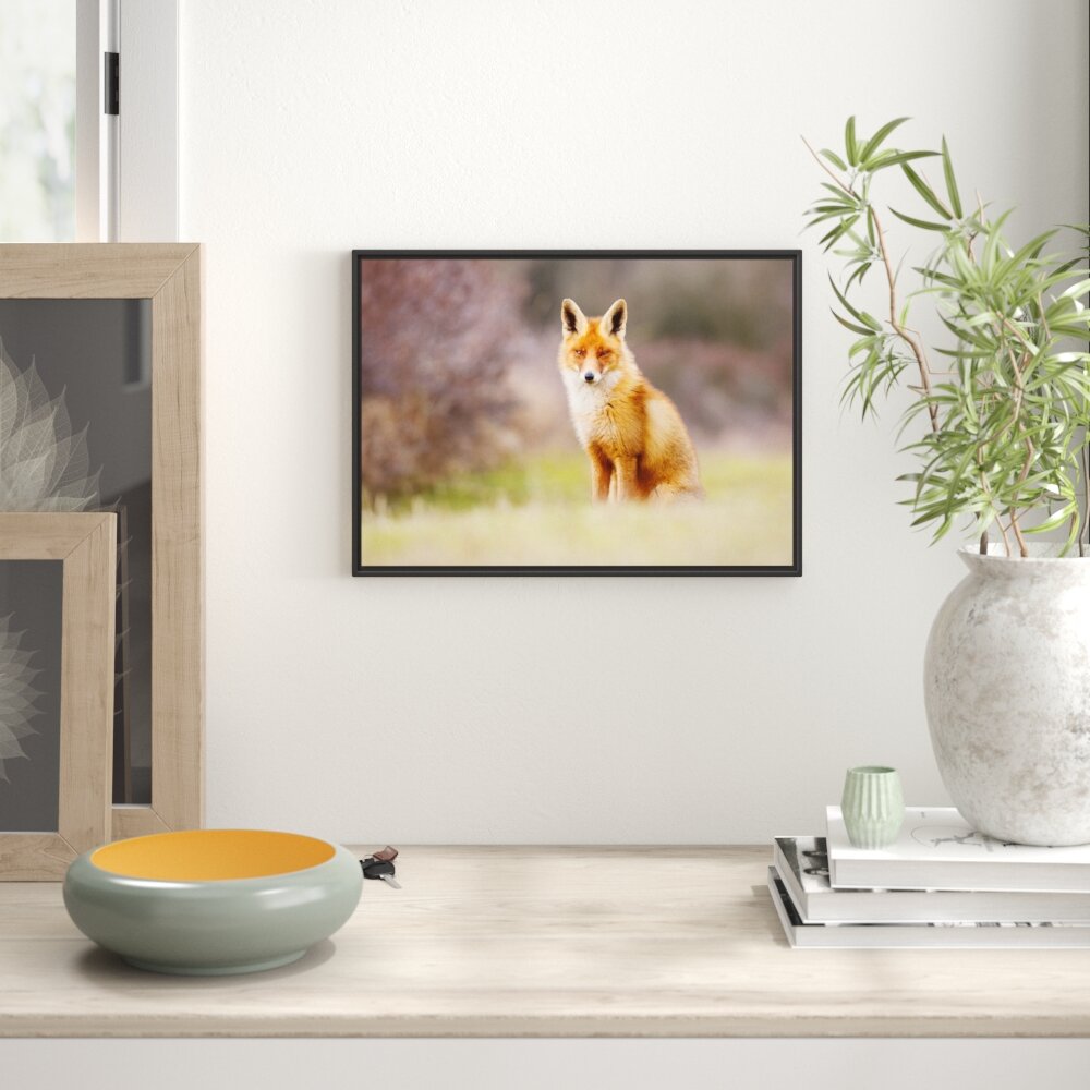 Gerahmtes Wandbild Listiger Fuchs