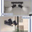 Maudine 2-Light 26cm Ceiling Spotlight