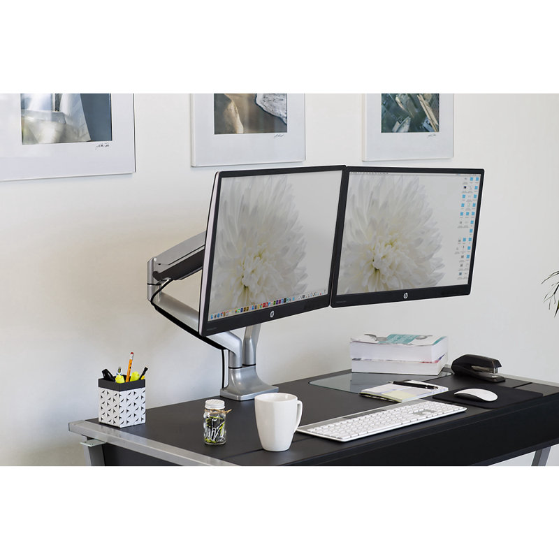  Computer Monitor 2 Screen Desk Mount