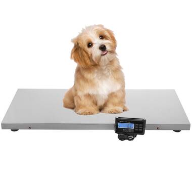  W.C Redmon Precision Digital Pet Scales, Large : Health &  Household