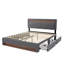 Dawsyn Upholstered Ottoman Storage Bed-801345169-801345173