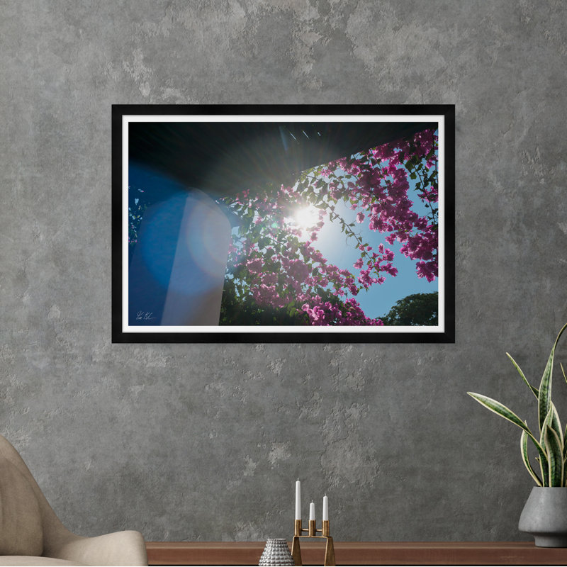 Bougainvillea Flare