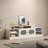 70" TV Stand  with Storage Cabinets and Open Shelves, Living Room Media Console