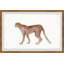 «Walking Cheetah», reproduction encadrée-1279429540