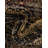 Blakely In Polypropylene Woven by the Quigley Machine-476198668