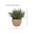 11" Grass in Matte Medium Terracotta Ceramic