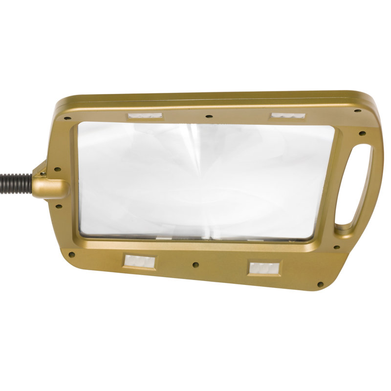 Full Page Magnifier Floor Lamp, Gold, Gold