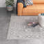 Tapis gris clair / ivoire Mia Medallion-1091969357