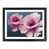 Black Framed selected