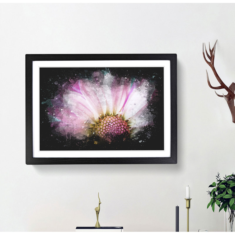 Pink Daisy Flower - Picture Frame Graphic Art Print, 33cm H x 45cm W x 2cm D, Black Framed
