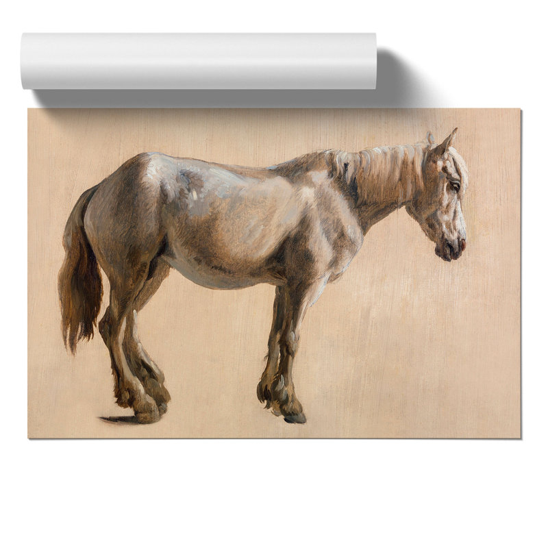Study of a Grey Horse by Jacques Laurent Agasse - Frameless Print, 30cm H x 42cm W x 0.1cm D