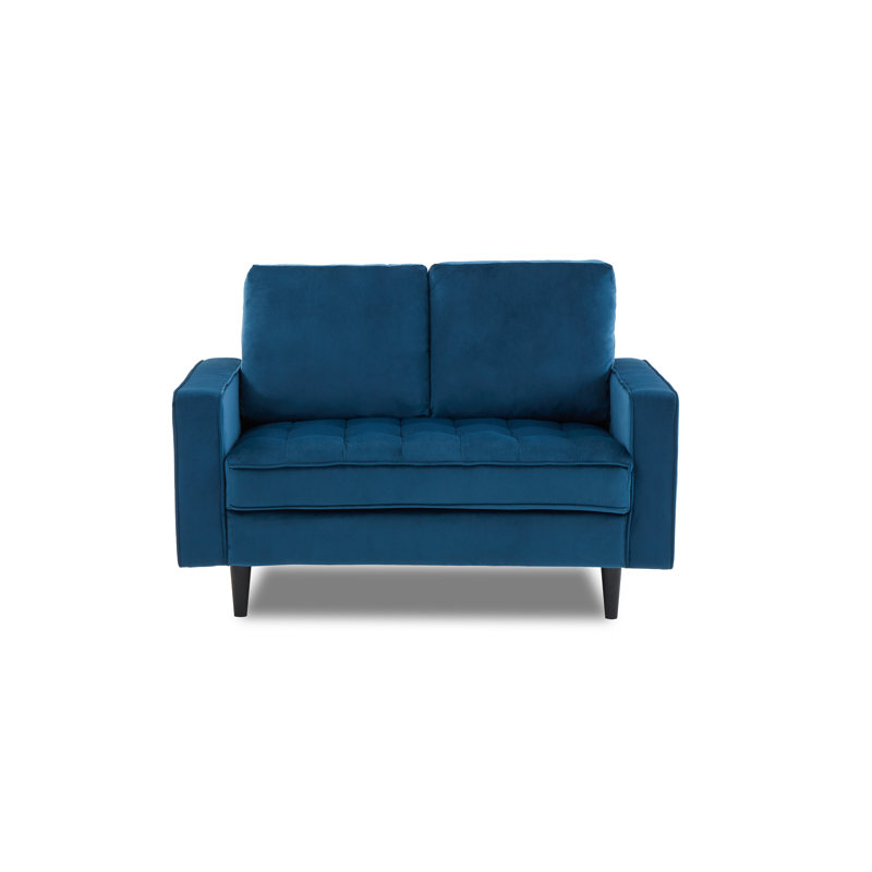 Arngerus Velvet Loveseat, Blue