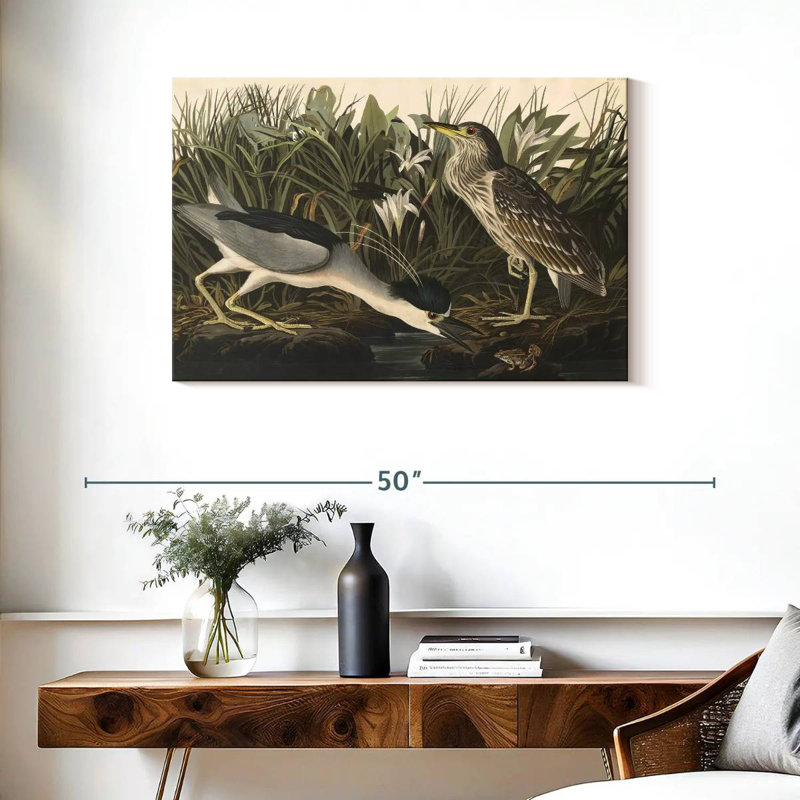 Héron nocturne des oiseaux d'Amérique, H 24 po x l 36 po